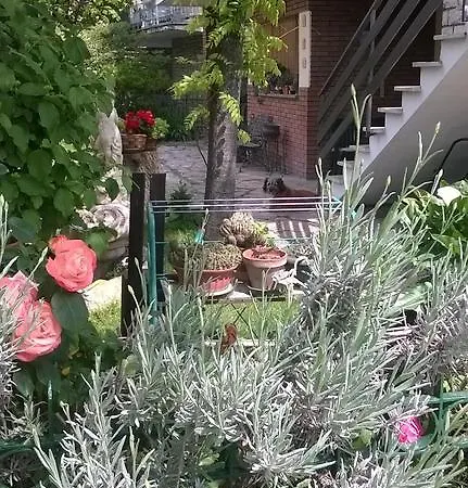 Casa de Férias La Casetta Dei Cedri *