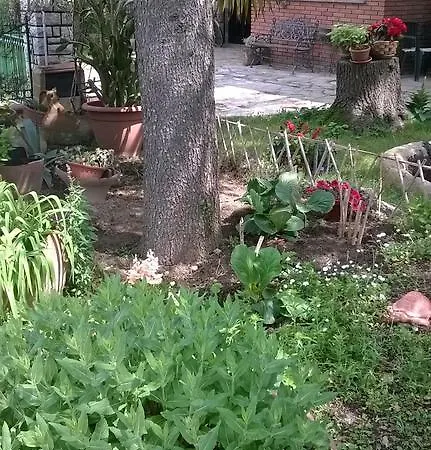 Casa de Férias La Casetta Dei Cedri *