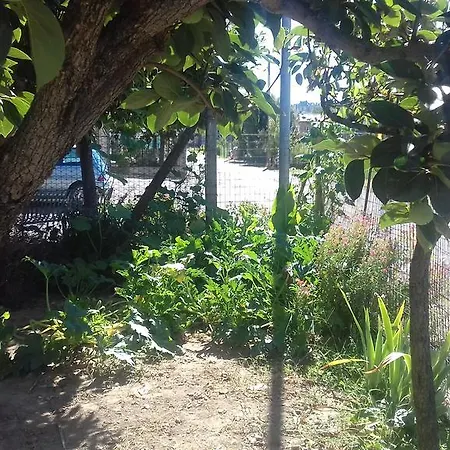 La Casetta Dei Cedri Casa de Férias Magione