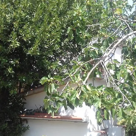 Casa de Férias La Casetta Dei Cedri *