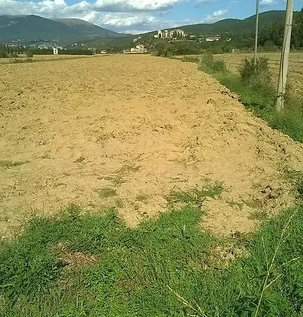 La Casetta Dei Cedri