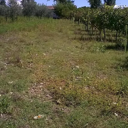 La Casetta Dei Cedri * Magione