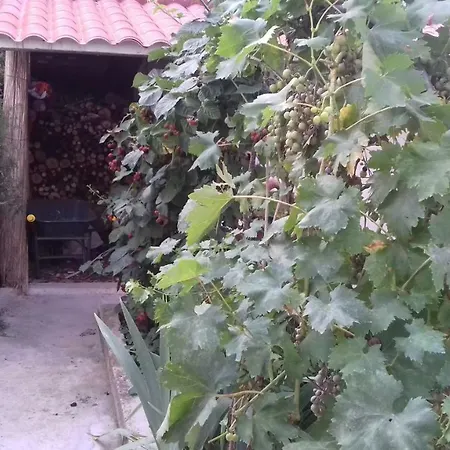 La Casetta Dei Cedri