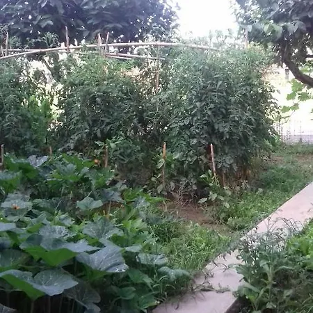 Vakantiehuis La Casetta Dei Cedri