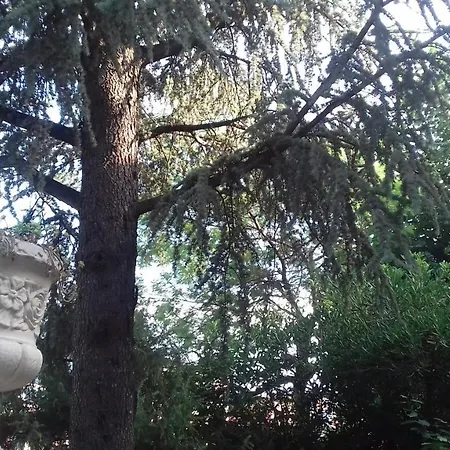 La Casetta Dei Cedri 马焦内